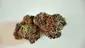 Video Thumbnail: med canna diaries