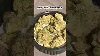 Lumir Cookies Kush (KCS) T26 #medicalcannabis #ukmedicalcannabis