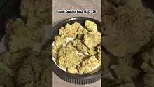 LoudConnoisseur Video Thumbnail