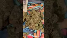 PrescribedBouquet Video Thumbnail