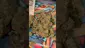Video Thumbnail: PrescribedBouquet