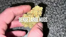 BabyzBudz Video Thumbnail