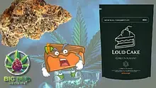Big Bud Reviews Video Thumbnail