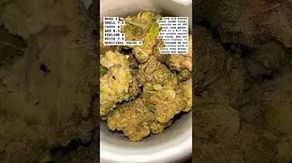 Chapel Of Love - Herdade Das Barrocas UK Medical Cannabis Review