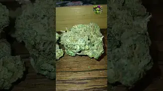 Papers | Animal Face Cookies | T28 | UK Medical Flower | 1 Week Review