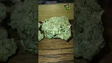 VIP THC Video Thumbnail
