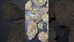 Green Karat | Permanent Fruz 20/1 Medical Cannabis Flower #cannabisdaily #cannabiseducation #legal