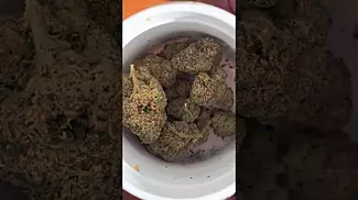 UK Medical Flower - Aurora Pedanios Frozen Lemon Haze (Jet Fuel Gelato x White MAC) Beta Irradiated.