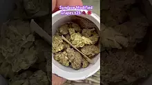420Medical Video Thumbnail