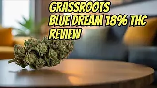 Grass roots bluedream 18%thc medical cannabis