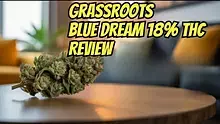 Welcome to the Press Video Thumbnail