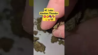4C Labs - Alaskan Thunder (T29%)(UK Medical Cannabis Prescription)