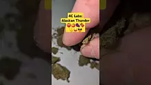 ScottiDunCanna Video Thumbnail