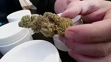 Medical Bud Reviews Video Thumbnail
