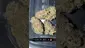Video Thumbnail: Mary Jane Media 420