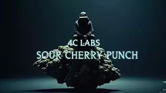 4C Labs Sour Cherry Punch Review – A Step in the Right Direction?
