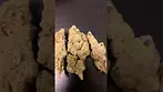 Pt26 papaya terpz uk medical#fyiシ゚viral #viralvideo #ukcannabis #winning #canada #amsterdam #regga