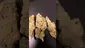 Video Thumbnail: Casper