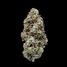 Mamedica® SOG T25 Sour OG Cheese Medical Cannabis Flower