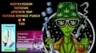 UPSTATE MIMOSA ORANGE PUNCH T20 AZZTECMEDIA REVIEWS THIS STRAIN ON MEDBUD.WIKI  #ANXIETY #PAIN