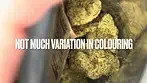 4C Labs Core DGZ T25 Dawgzilla Medical - Strain reviews #40