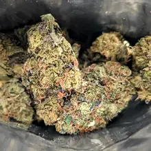 MedCan Isando TS T19 Tokoloshe Sherbet Medical Cannabis Flower
