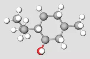 Menthol Terpene Compound Representation