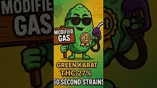 Modified Gas (Green Karat) | 60 Second Strains Review  (THC: 27%)