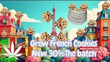 UK and Legal Video Thumbnail