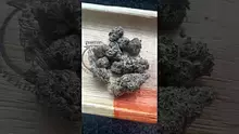  Sirspliffalot87 Video Thumbnail