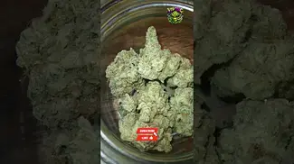 4C Labs | Pucker Up | T29 | UK Medical Flower | First Look