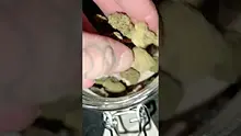 WestPacks420 Video Thumbnail