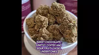 Atlantic Glue - Therismos ATG Medical Cannabis Strains UK #Montu #alternaleaf #curaleaf