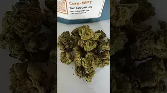 Curaleaf WPT - Wedding Pop Triangle 24% #medicalcannabis #medicalcannabisuk