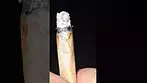 Kush Cookies upstate medication review  short. Plus Ash for anyone who wants that.