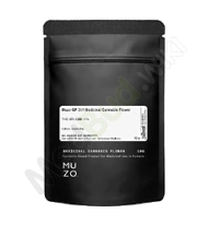 GP T31 Packaging