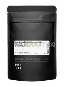 Packaging for Muzo™ GP T31 Gastro Pop Medical Cannabis Flower