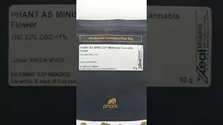 Phant Apes In Space out the bag