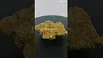 Hawaiian  Rain  by Cookies #ukmedicalcannabis #cookies #cannabiseducation #420