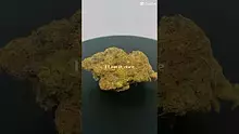 HerbGaming Video Thumbnail