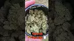 Tyson 2.0 Tiger Milk 28% Flower UK Medical