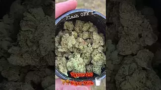 Tyson 2.0 Tiger Milk 28% Flower UK Medical