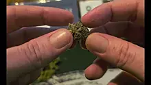 Punkz Emporium Video Thumbnail