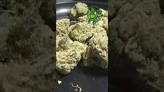#cannabiseducation #medicalcannabis #cannabisdaily #cannabisbenefits #dankofengland