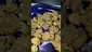 Video Thumbnail: PrescribedBouquet