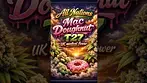 All Nations | Mac Doughnut | T27 | UK Medical Flower | 1 Week Review