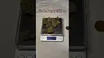 Green Karat: Trillianz (Pack opening & Weigh)