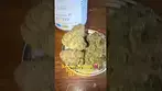 #medical#lemon diesel #glasspharms #22%THC