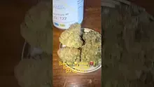 GIggzy Medical Buds Video Thumbnail