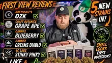 Js Medi Lounge Video Thumbnail